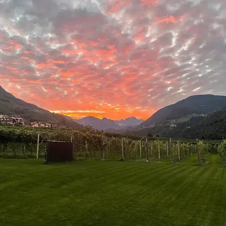 Trianglhof Surrounded By Vineyards