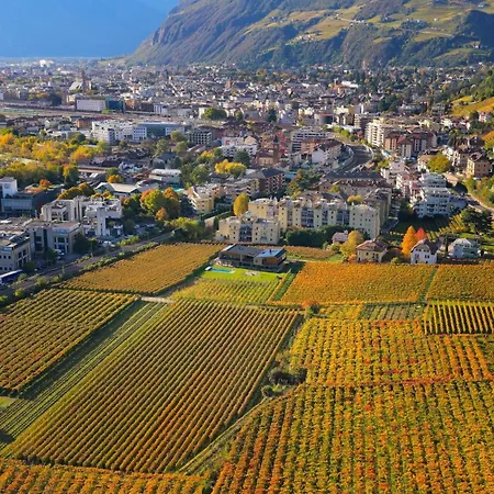Trianglhof Surrounded By Vineyards