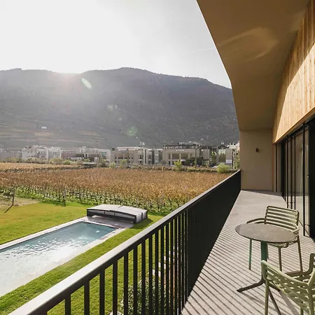 Trianglhof Surrounded By Vineyards